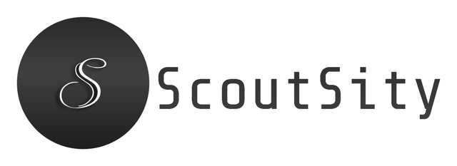 ScoutSity